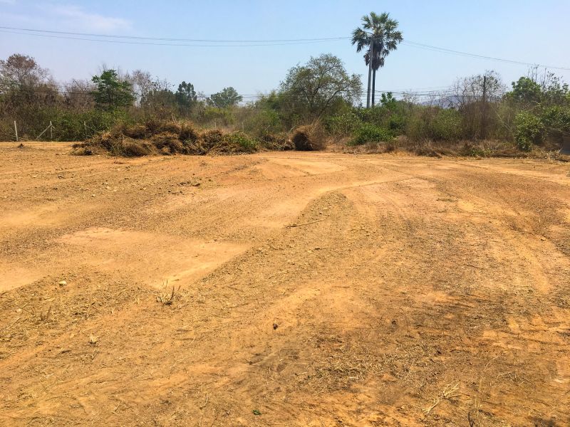 Site Preparation and Conditions