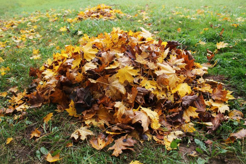 Final Leaf Cleanup