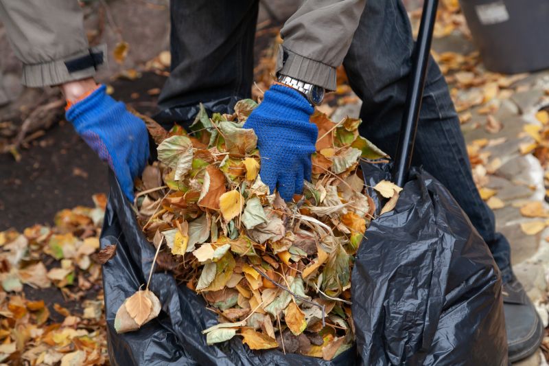 Collected Leaves Piled Up