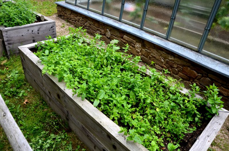 Landscape Timber Installation